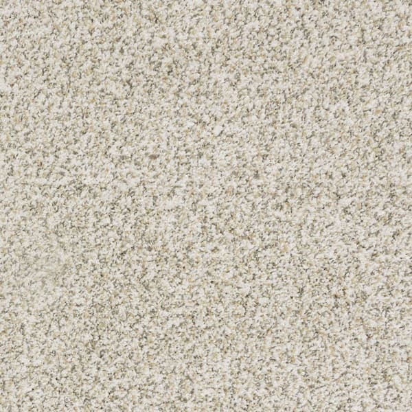8 in. x 8 in. Texture Carpet Sample-Bolter I-Color Bolt Flare