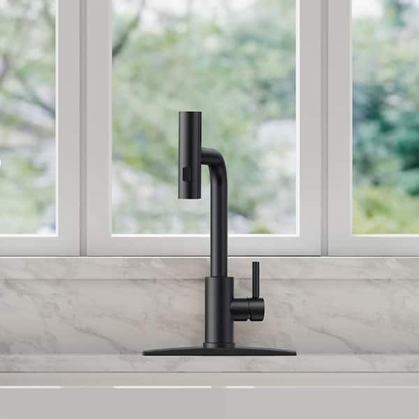 Single Handle Pull Down Sprayer Kitchen Faucet with Advanced Spray, Pull Out Spray Wand in Matte Black