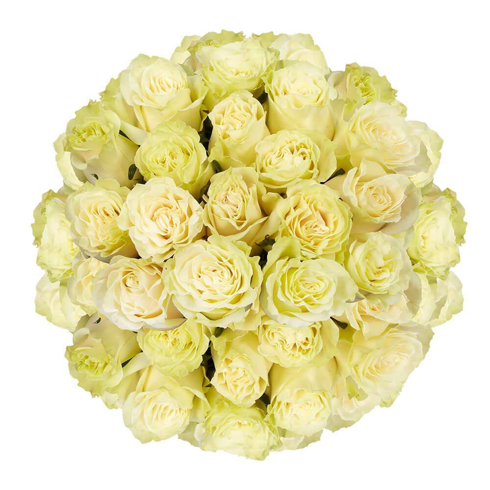 Globalrose 100 Stems of White with Creamy Center Mondial Roses Fresh