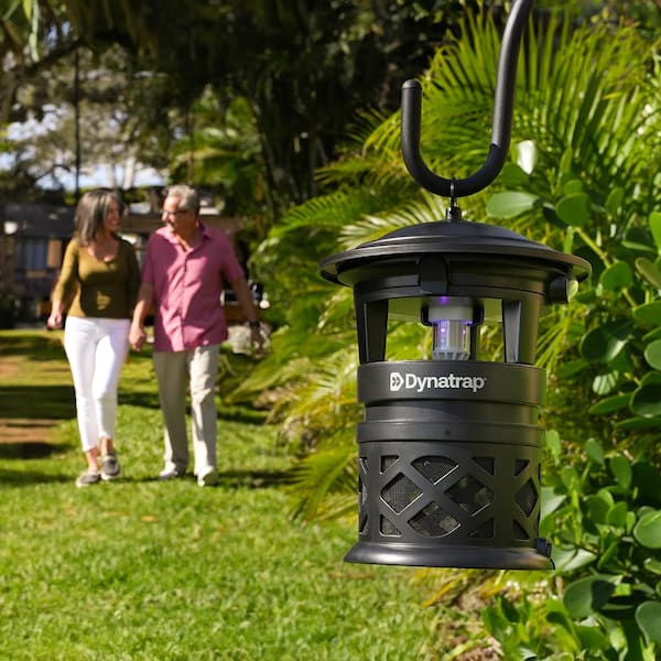 DynaTrap Flying Insect Trap