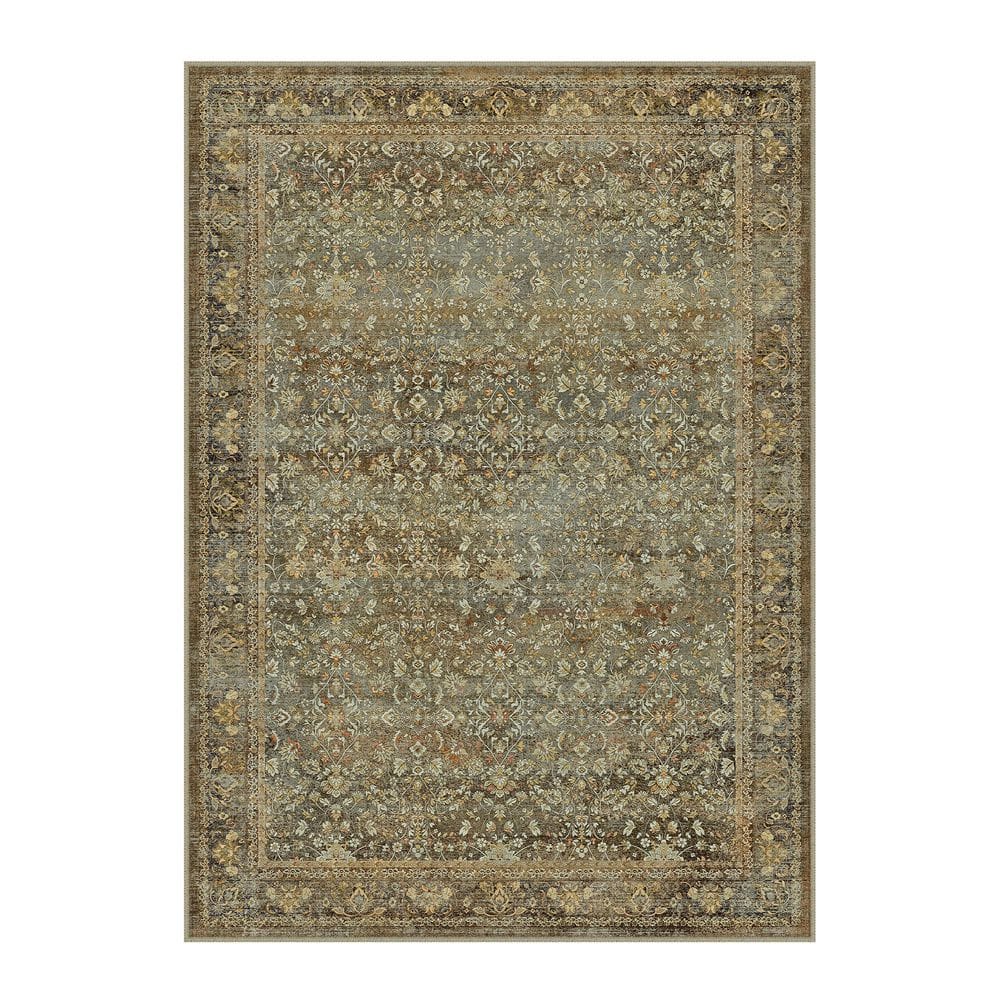 Brighton Brown 5 ft. x 7 ft. Vintage Distressed Washable Area Rug price history on PriceWatchPro