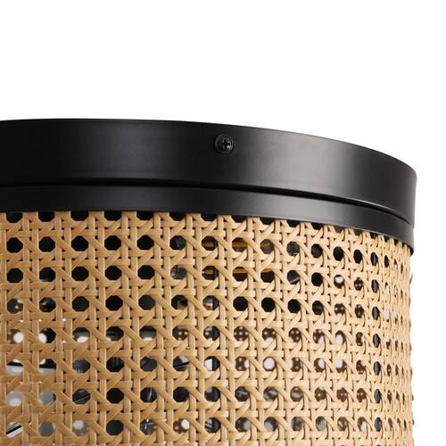 12.2 in. Indoor 3-Speeds Black Caged Ceiling Fan with Remote Control Ceiling Fans With Lights