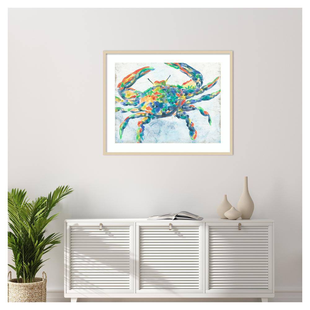 Vibrant Abstract Rainbow Crab II Framed Wall Art Print