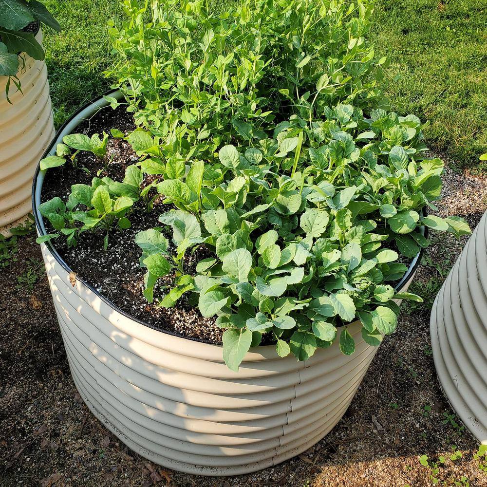 Pearl White Tall Round Metal Outdoor Raised Garden Bed