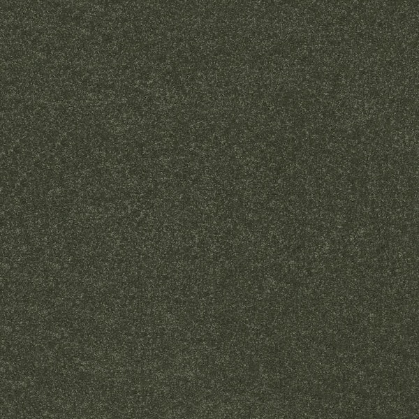 Home Decorators Collection House Party II - Ivy - Green 51.5 oz. Polyester Texture Installed Carpet