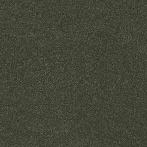 House Party II - Ivy - Green 15 ft. 51.5 oz. Polyester Texture Installed Carpet