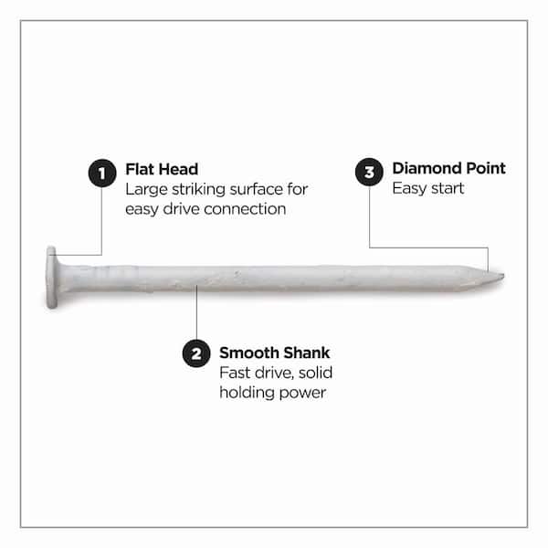 Pro-Fit 1-1/4 in. Trim Stainless Steel Nail Flat Head 1 lb Pro-Fit 1-1/4 in. Trim Stainless Steel Nail Flat Head 1 lb