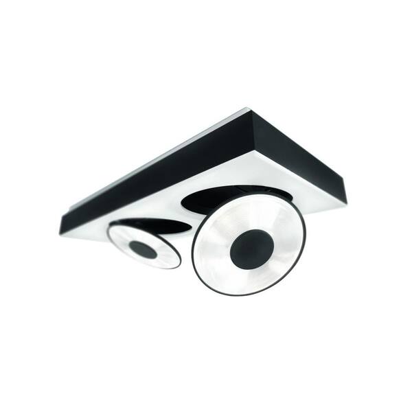 Philips Circulis 2-Light Matte White and Anthracite Ceiling Fixture