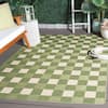 Birch Lane Cosette Area Rug Green Checkered 5FT3IN. x 7FT6IN.