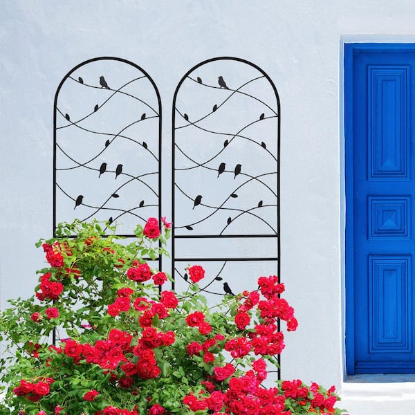 2 Pack 19.7 in. L x 71 in. H Outdoor Black Metal Garden Trellis Great Metal Garden Trellis for Climbing Plants