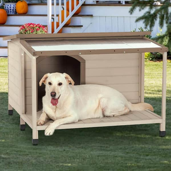 Dog house discount for labrador size