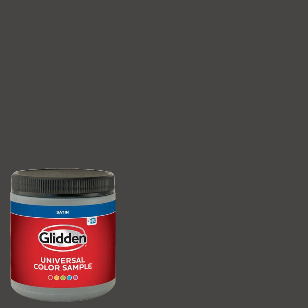 Glidden PPG1011-7 Onyx Satin Interior Paint Sample PPG1011