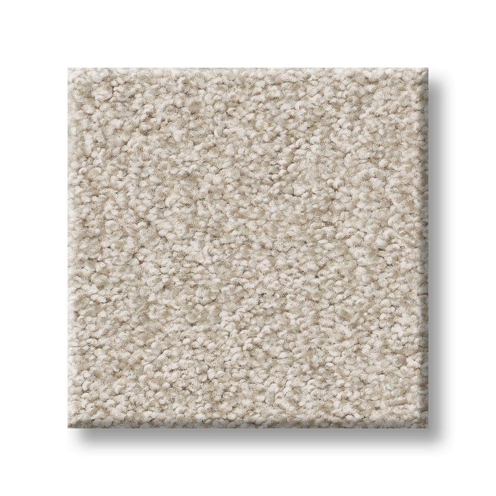 8 in. x 8 in. Texture Carpet Sample - Coastal Charm I -Color Mohair price history on PriceWatchPro