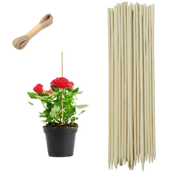 Wellco 16 in. Bamboo Skewers With 65.6 ft. Long Twine 5 mm Thick Round To  Support Plant, 50-Piece BS16NPS50P - The Home Depot