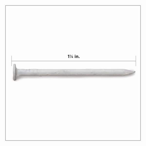 Pro-Fit 1-1/4 in. Trim Stainless Steel Nail Flat Head 1 lb Pro-Fit 1-1/4 in. Trim Stainless Steel Nail Flat Head 1 lb