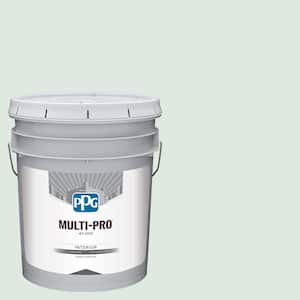5 gal. PPG1134-3 Pine Frost Flat Interior Paint