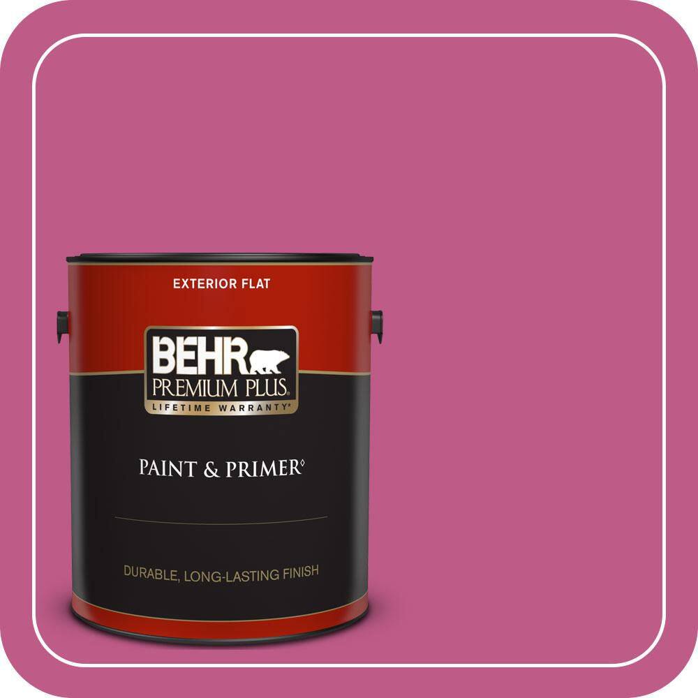 1 gal. #P120-5 Beauty Queen Flat Exterior Paint & Primer price history on PriceWatchPro