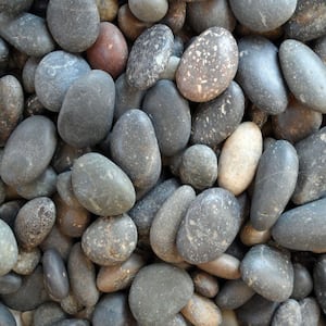0.50 cu. ft. 40 lbs. 5/8 in. to 7/8 in. Mixed Mexican Beach Pebble (20-Bag Pallet)