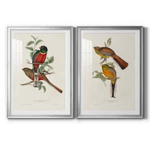 Elegant Trogons III By Wexford Homes 2-Pieces Framed Abstract Paper Art Print 18.5 in. x 24.5 in.