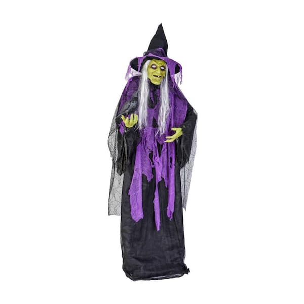 Home Accents Holiday 72 in. Witch with Raven