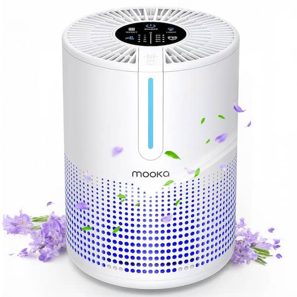 300 sq.ft. H13 True HEPA Personal Room Air Purifier in White, Timer,Air Filter Cleaner for Smoke,Odor, 4 Speed