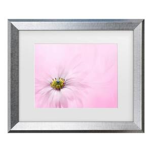 Jacky Parker Softness Matted Framed Photography Wall Art 19.5 in. x 23.5 in.