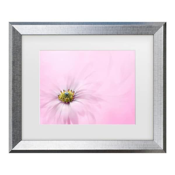Trademark Fine Art Jacky Parker Softness Matted Framed Photography Wall Art 19.5 in. x 23.5 in.