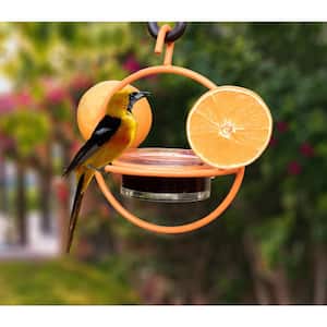 Iron Oriole Orange Bird Feeder with Clear Glass Bowl