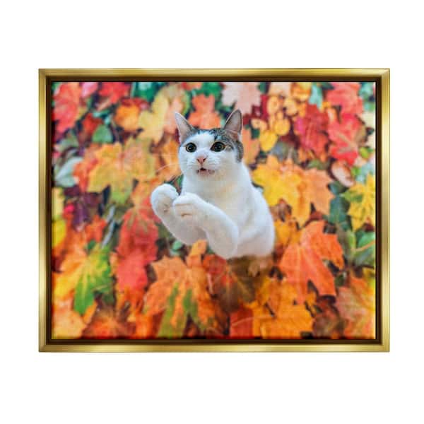 Stupell Industries Cat in Autumn Leaf Pile by Kazutoshi Ono 1 Piece Floater Frame Graphic Print Animal Poster Art Print 31 in. x 25 in.