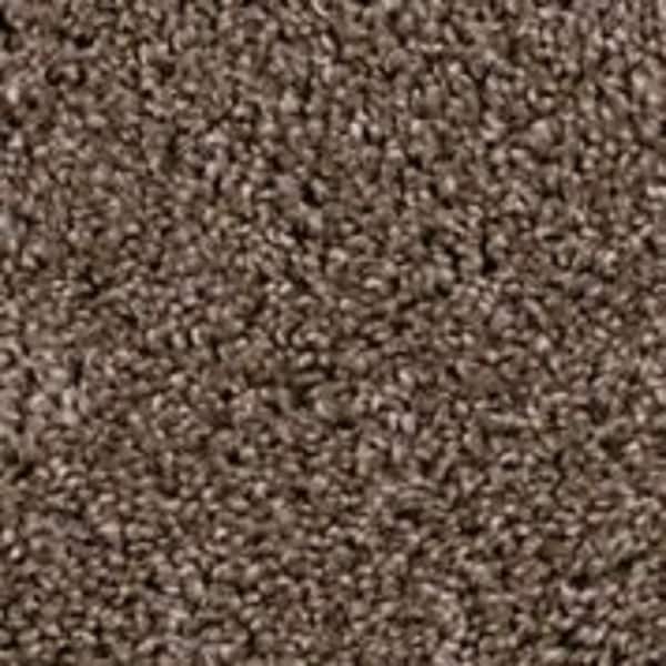 TrafficMaster 8 in. x 8 in. Texture Carpet Sample - Founder -Color Inventor