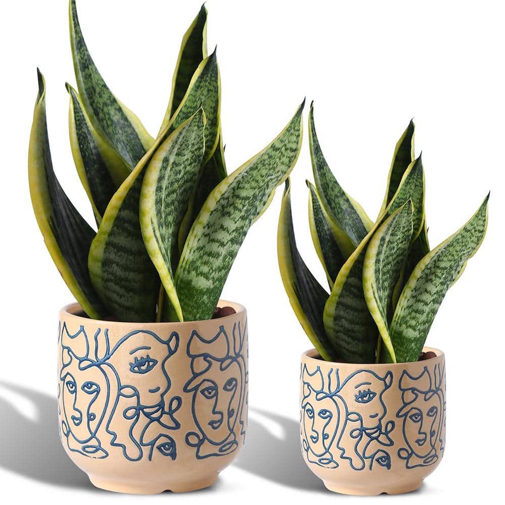 Modern Decorative Ceramic Plant Pots Outdoor Pots Set with Drainage Holes (