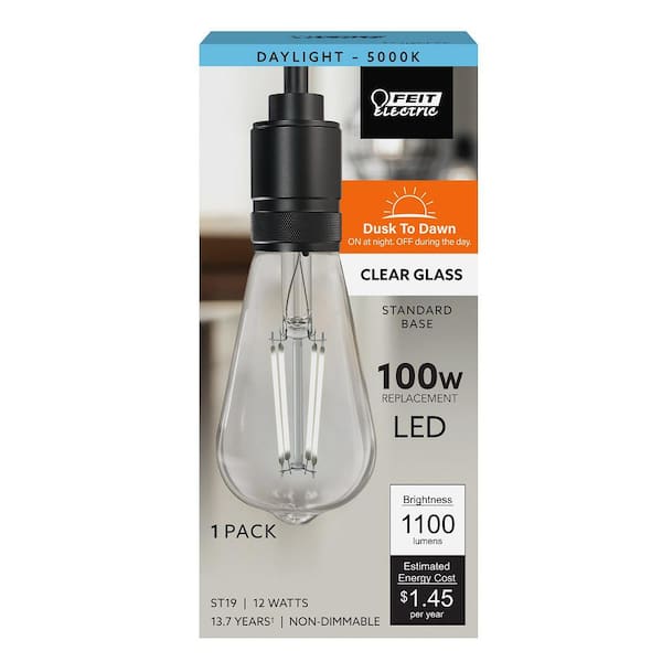 Feit Electric 100-Watt Equivalent ST19 Straight Filament Dusk to Dawn Clear Glass E26 Vintage Edison LED Light Bulb, Daylight 5000K