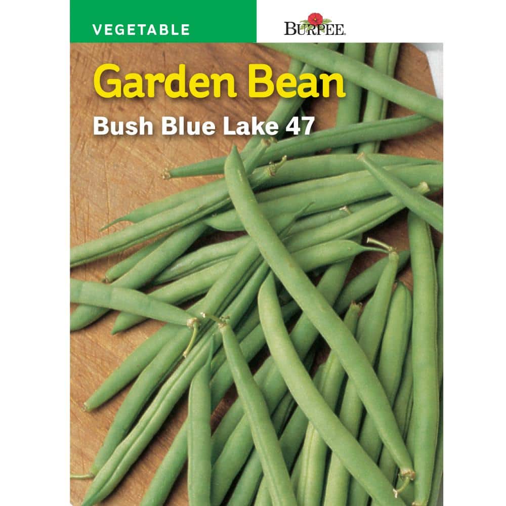 beans win Bean, Blue Lake 47 Bush - Burpee