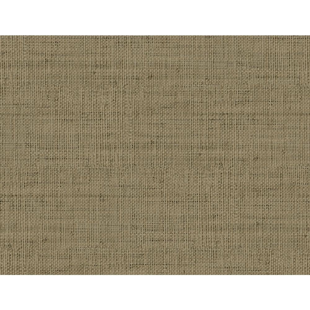 60.75 sq. ft. Latte Wild Bind Embossed Vinyl Unpasted Wallpaper Roll price history on PriceWatchPro