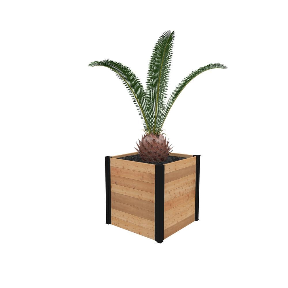 Mezza 22" Golden Brown Cedar Cube Planter with Modern Minimalist Design