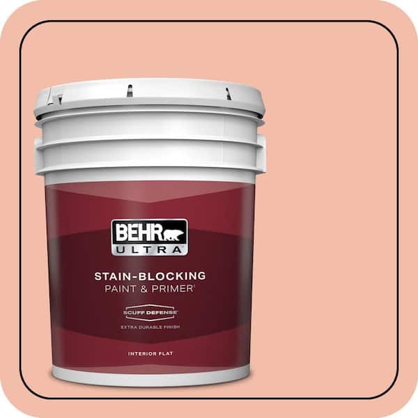 BEHR ULTRA 5 gal. Home Decorators Collection #HDC-CT-14A Sunkissed Apricot Extra Durable Flat Interior Paint & Primer