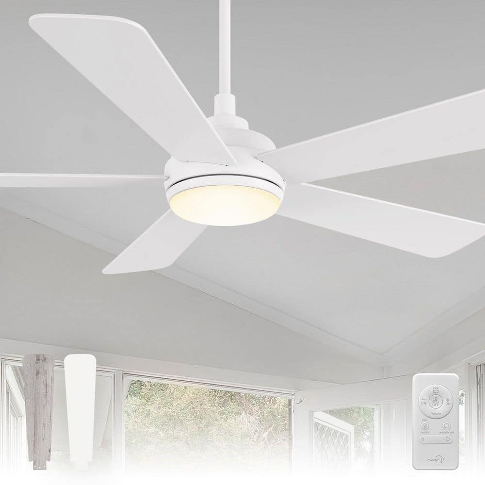 Audra 52 in. Indoor White Downrod Ceiling Fan with LED Light Kit, Remote Control and 10-Speed Reversible DC Motor price history on PriceWatchPro