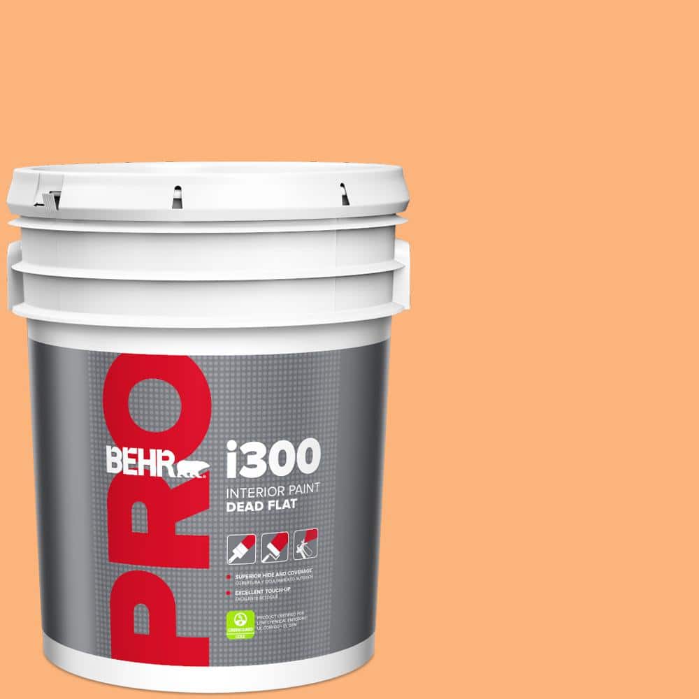 5 gal. #P220-5 Fuzzy Peach Dead Flat Interior Paint price history on PriceWatchPro