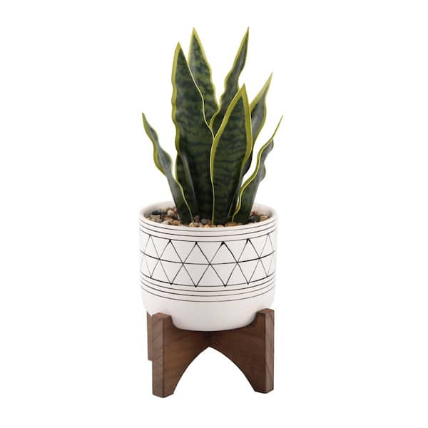 Flora Bunda 12 in. Artificial Faux Snake Plant in Black GEO Paint White Ceramic Pot on Wood Stand