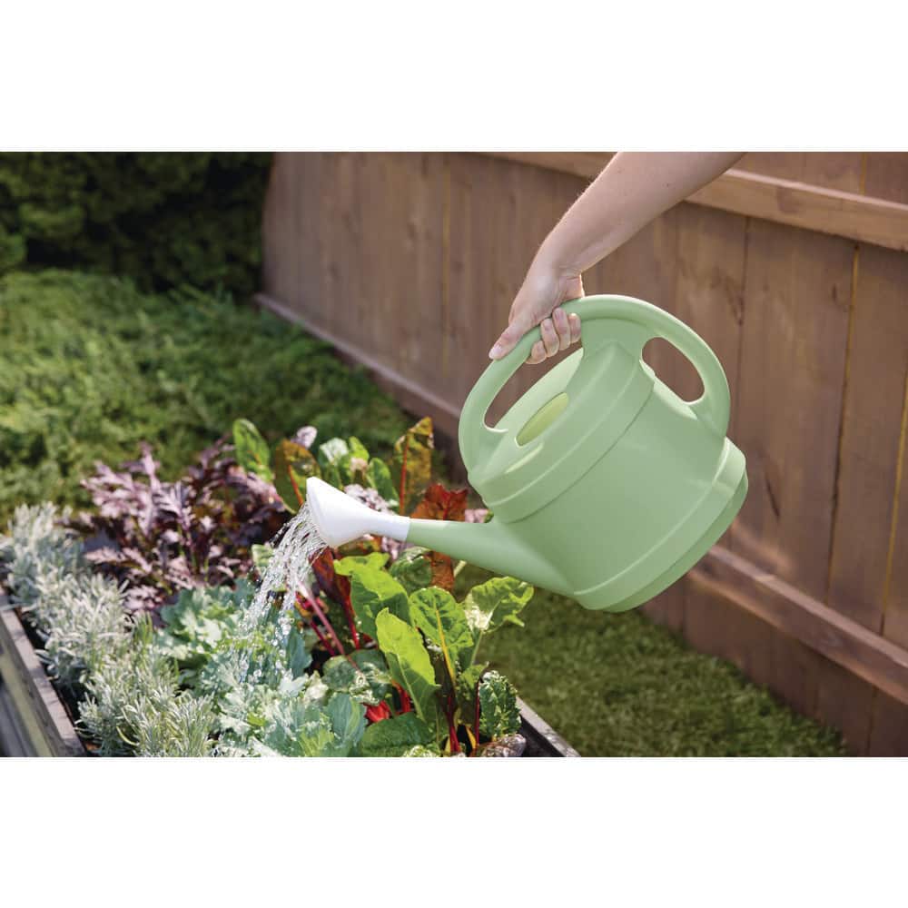Vigoro 2 Gal. Rosemary Green Modern Multi-Grip High-Density Plastic Watering Can RZ.WC2G3BH5