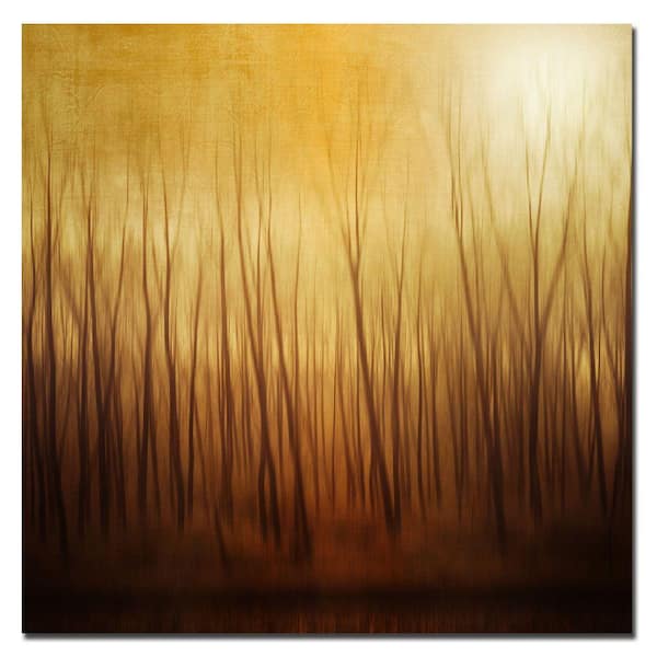 Trademark Fine Art 14 in. x 14 in. Ghost Forest Canvas Art-DISCONTINUED