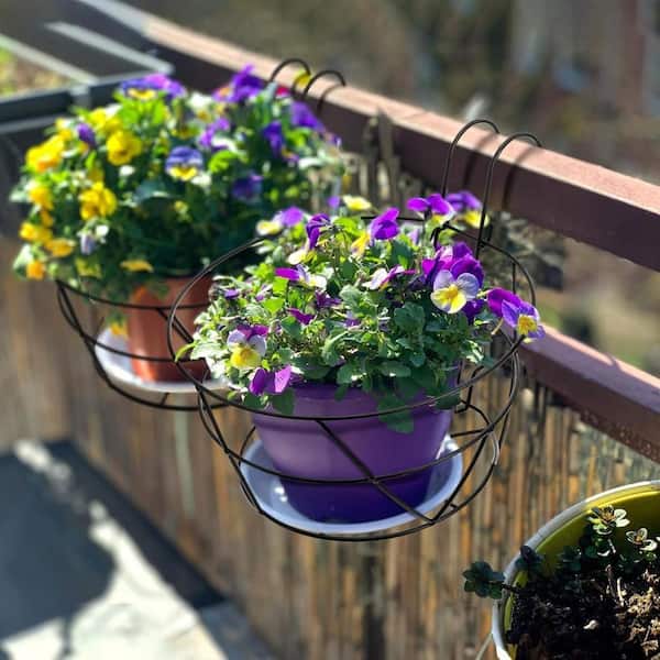 Unbranded 13 in. L Round Metal Iron Hanging Railing Planter Holders 3-Pack  HPF5QHFXT1