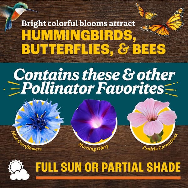 2 lb. Wildflower Butterfly/Hummingbird Mix