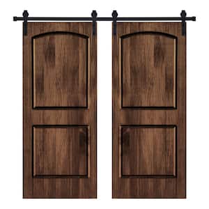 Modern 2Panel-Roman Designed 48 in. x 80 in. Wood Panel Dark Walnut Painted Double Sliding Barn Door with Hardware Kit