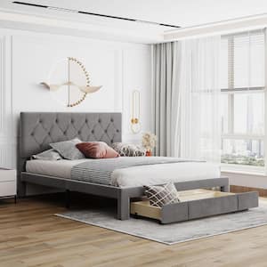 Queen Size 60 in. Gray Velvet Upholstered Platform Bed with A Large Drawer, Queen Wood Adult Bed Frame with Solid Slats