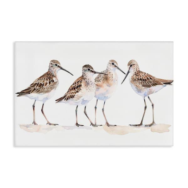 Stupell Industries Sand Pipers Gathered by Petal Prints Design Unframed Animal Graphic Art Print 20 in. x 30 in.