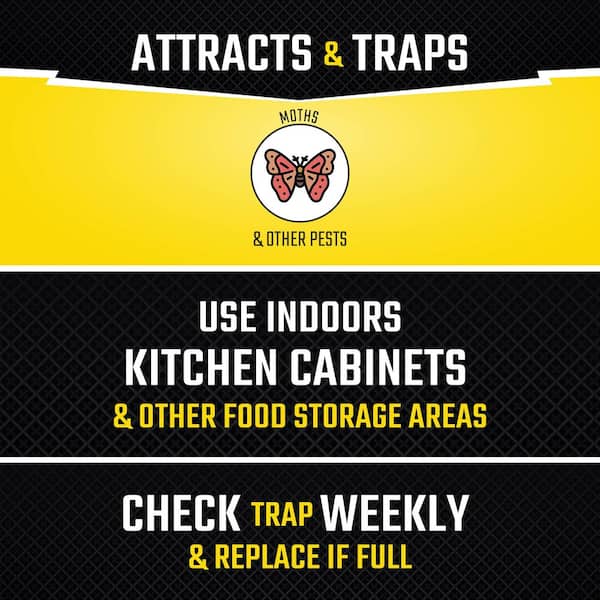 Pantry Pest Moth Glue Traps (2-Count) (4-Pack)