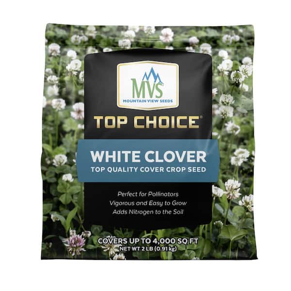 TOP CHOICE 2 lb White Clover