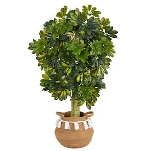 4 ft. Green Schefflera Artificial Tree in Boho Chic Handmade Natural Cotton Woven Planter with Tassels (Real Touch)