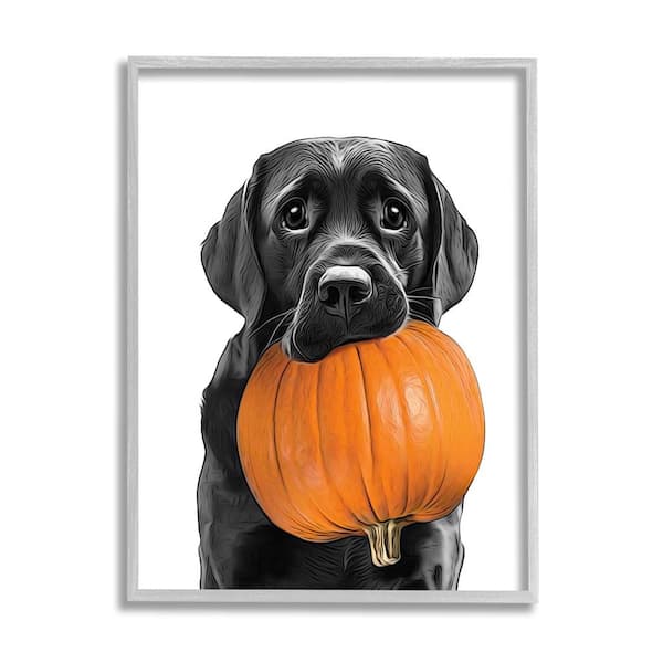 Lab Dog with Pumpkin by Annalisa Latella 1-Piece Framed Graphic Print Animal Poster Art Print 20 in. x 16 in.